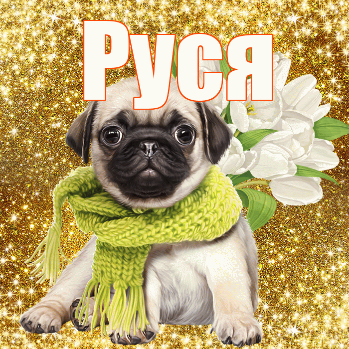 Руся! С днём цветов! Красивая открытка !