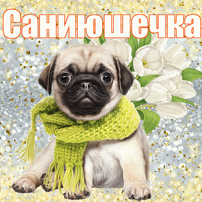 Саниюшечка! С днём цветов! Красивая открытка !