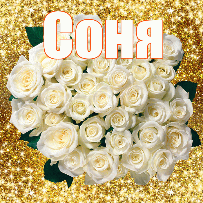 Соня! С днём цветов! Красивая открытка Соне!