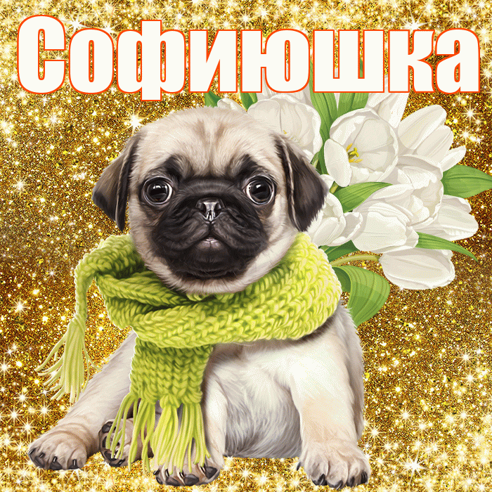 Софиюшка! С днём цветов! Красивая открытка !