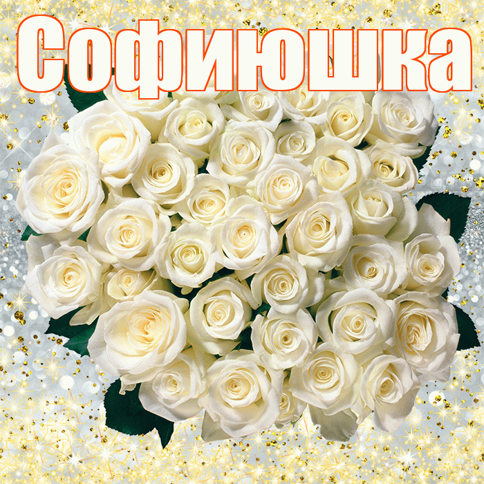Софиюшка! С днём цветов! Красивая открытка !