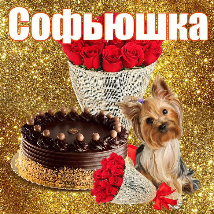 Софьюшка! С днём цветов! Красивая открытка !