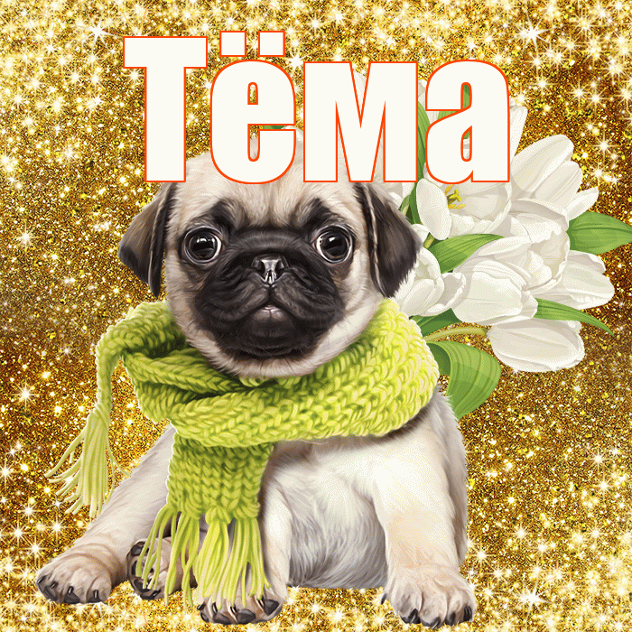 Тёма! С днём цветов! Красивая открытка !