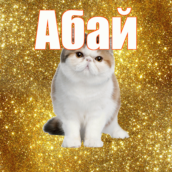 Абай! С добрым утром! Красивая открытка Абаю!
