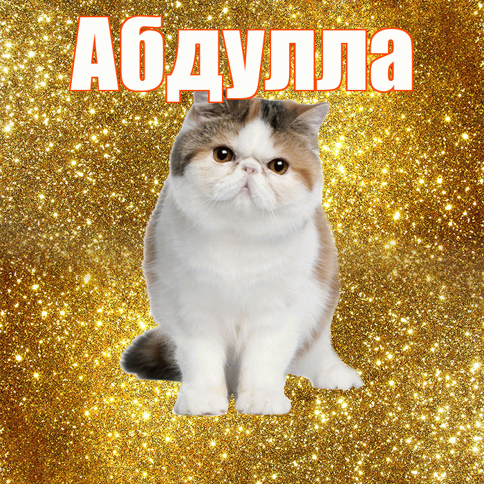 Абдулла! С добрым утром! Красивая открытка Абдулле!