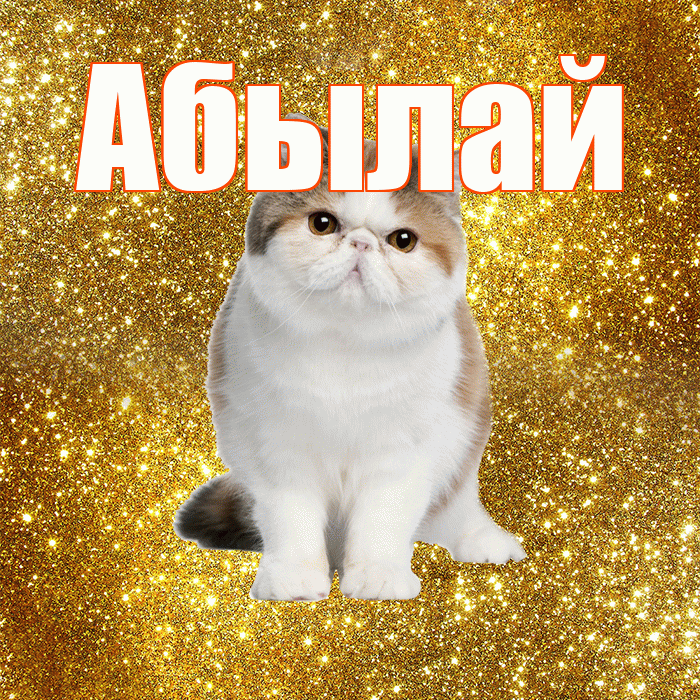 Абылай! С добрым утром! Красивая открытка Абылаю!
