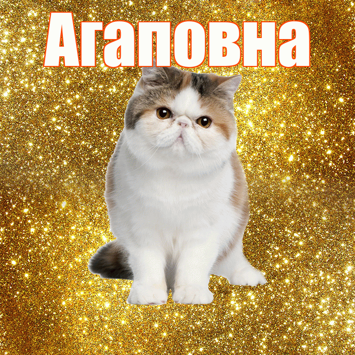 Агаповна! С добрым утром! Красивая открытка Агаповне!