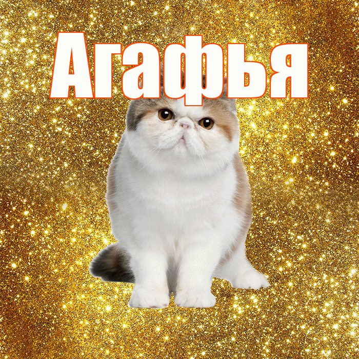 Агафья! С добрым утром! Красивая открытка Агафье!