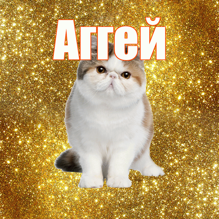 Аггей! С добрым утром! Красивая открытка Аггею!
