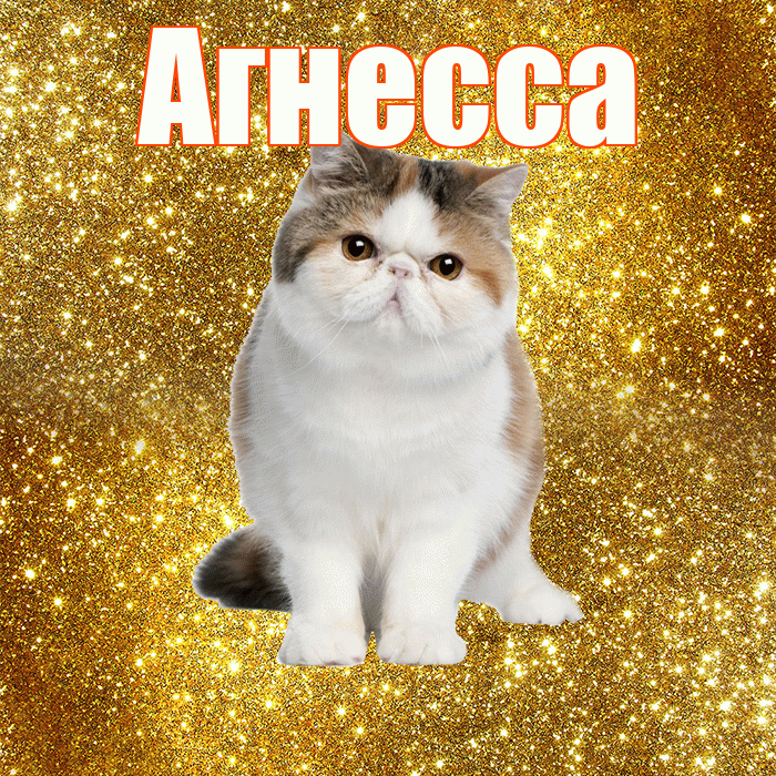 Агнесса! С добрым утром! Красивая открытка Агнессе!