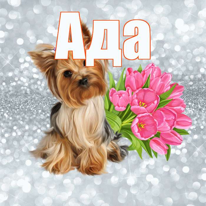 Ада! С добрым утром! Красивая открытка Аду!