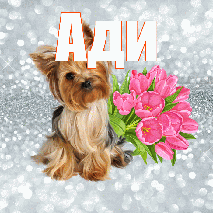 Ади! С добрым утром! Красивая открытка !
