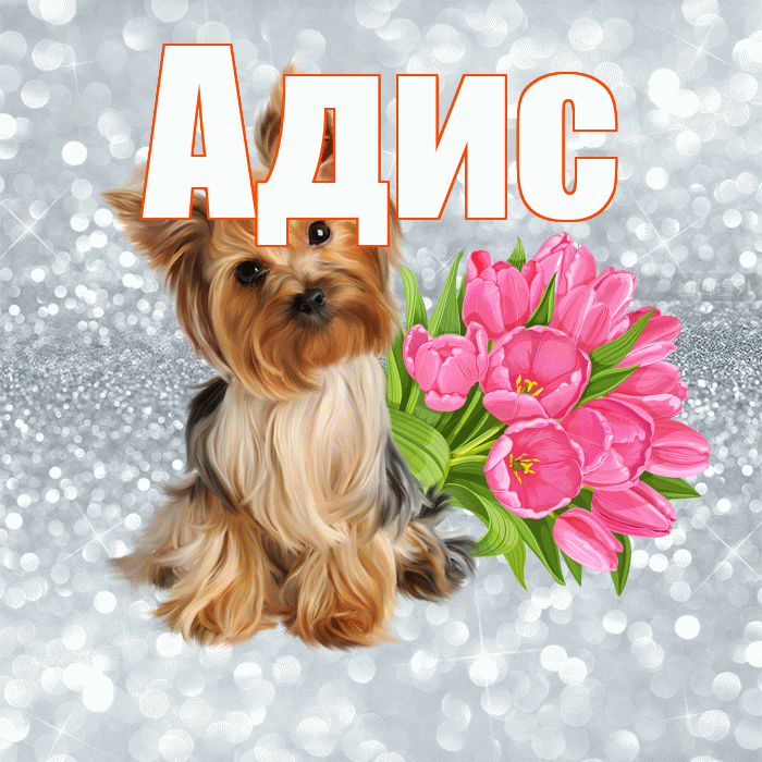 Адис! С добрым утром! Красивая открытка Адису!