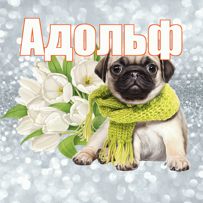 Адольф! С добрым утром! Красивая открытка Адольфу!