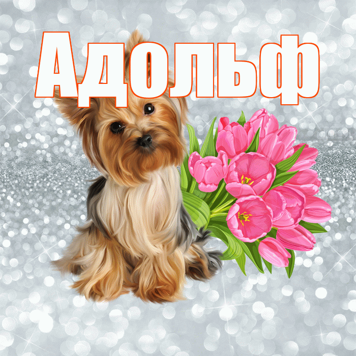 Адольф! С добрым утром! Красивая открытка Адольфу!