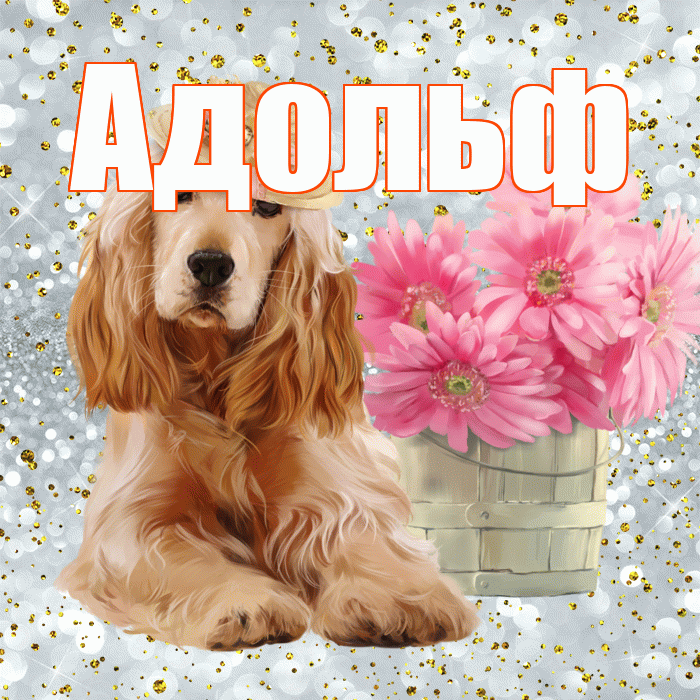 Адольф! С добрым утром! Красивая открытка Адольфу!