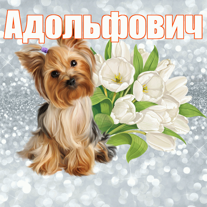 Адольфович! С добрым утром! Красивая открытка Адольфовичу!