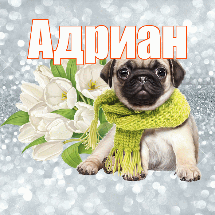 Адриан! С добрым утром! Красивая открытка Адриану!