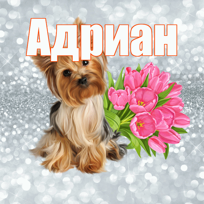 Адриан! С добрым утром! Красивая открытка Адриану!