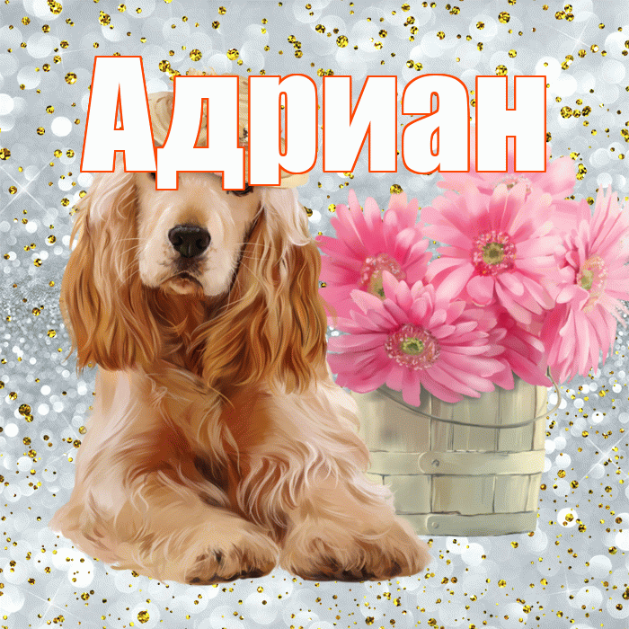 Адриан! С добрым утром! Красивая открытка Адриану!