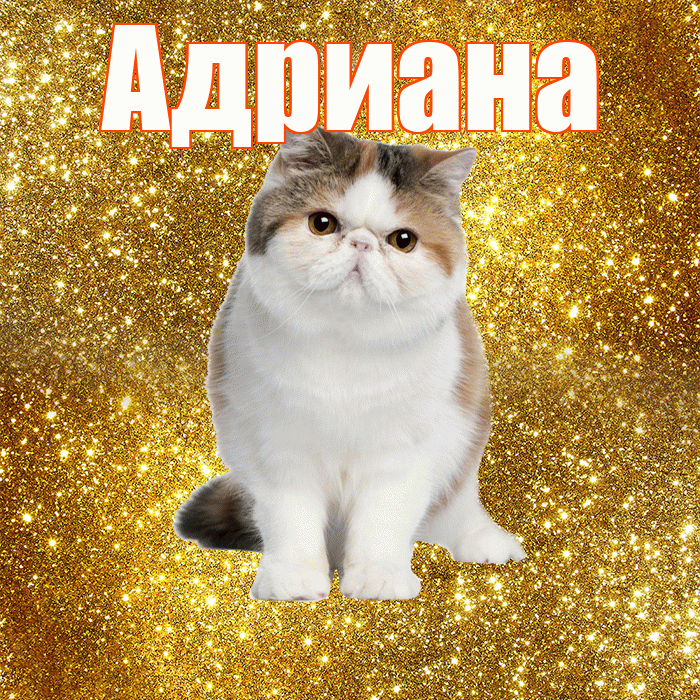 Адриана! С добрым утром! Красивая открытка Адриановне!