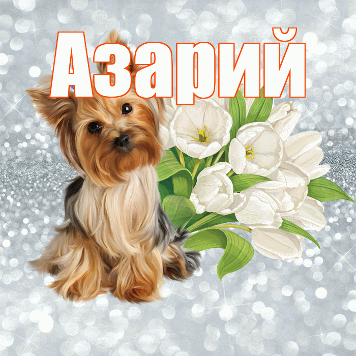 Азарий! С добрым утром! Красивая открытка Азарию!