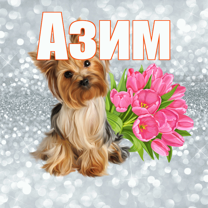 Азим! С добрым утром! Красивая открытка Азиму!