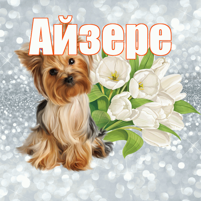 Айзере! С добрым утром! Красивая открытка Айзере!