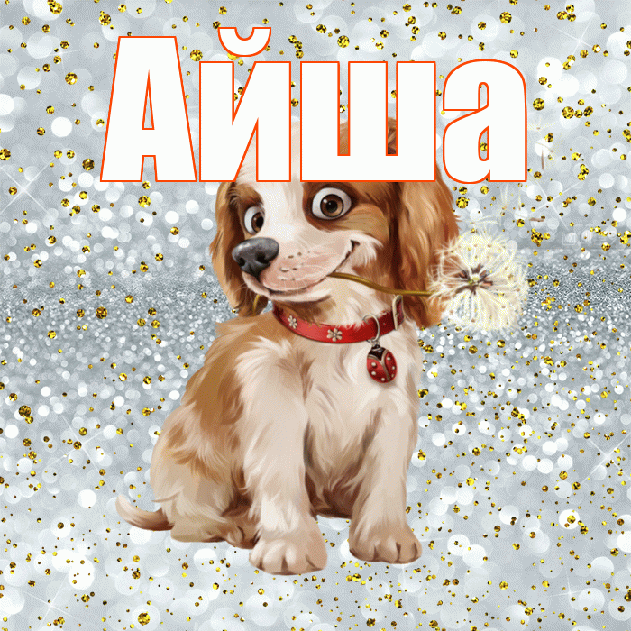 Айша! С добрым утром! Красивая открытка Айше!