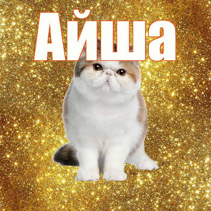 Айша! С добрым утром! Красивая открытка Айше!