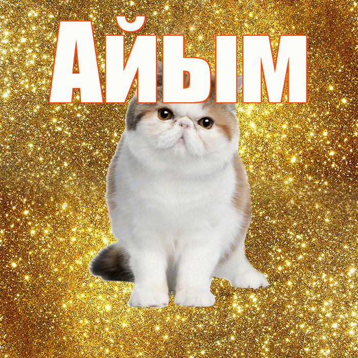 Айым! С добрым утром! Красивая открытка Айым!