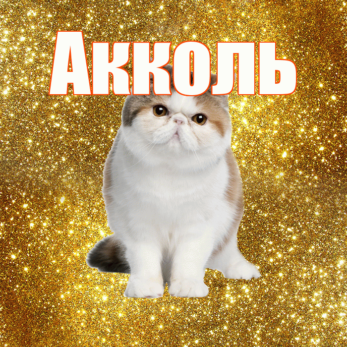 Акколь! С добрым утром! Красивая открытка Акколю!