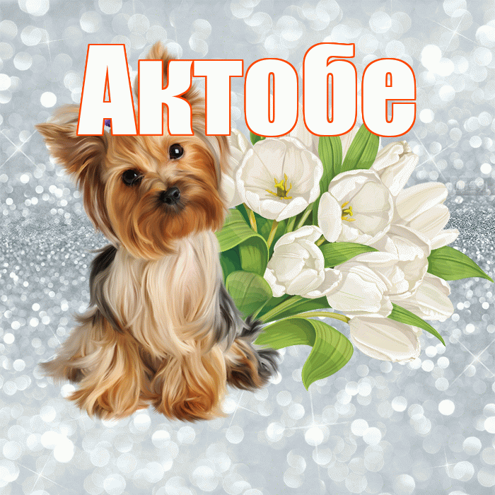 Актобе! С добрым утром! Красивая открытка Актобе!