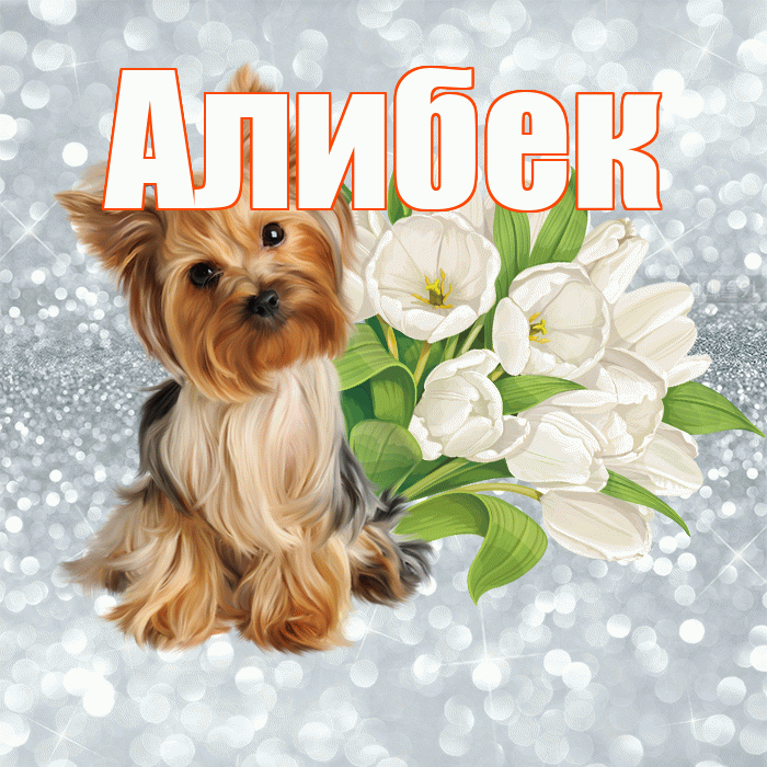 Алибек! С добрым утром! Красивая открытка Алибеку!