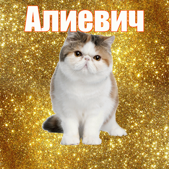 Алиевич! С добрым утром! Красивая открытка Алиевичу!