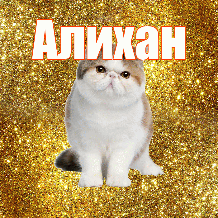 Алихан! С добрым утром! Красивая открытка Алихану!