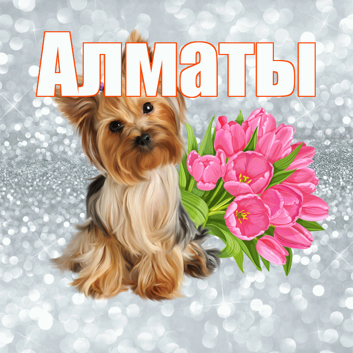 Алматы! С добрым утром! Красивая открытка Алматы!