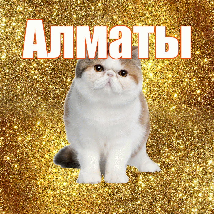 Алматы! С добрым утром! Красивая открытка Алматы!