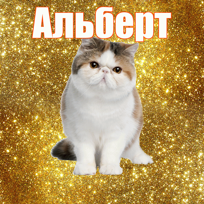 Альберт! С добрым утром! Красивая открытка Альберту!
