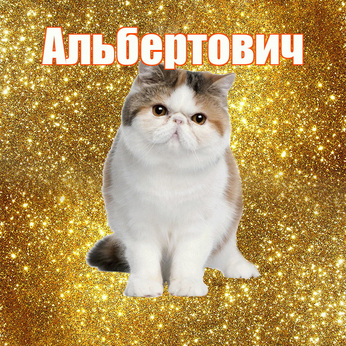 Альбертович! С добрым утром! Красивая открытка Альбертовичу!