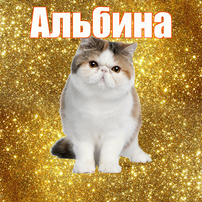 Альбина! С добрым утром! Красивая открытка Альбине!