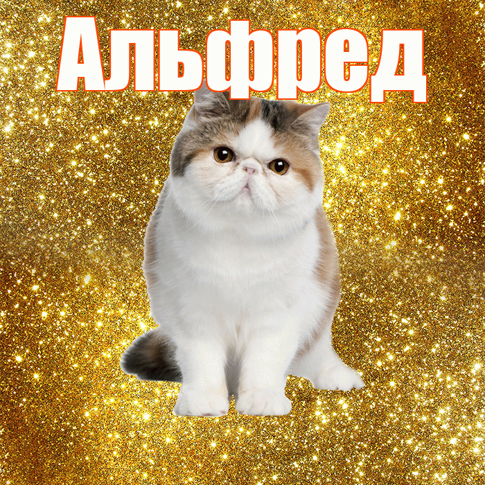 Альфред! С добрым утром! Красивая открытка Альфреду!