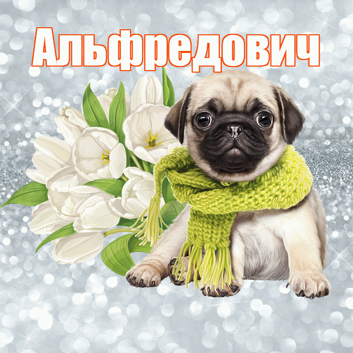 Альфредович! С добрым утром! Красивая открытка Альфредовичу!