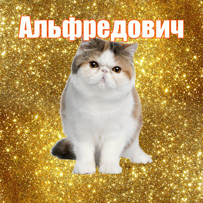 Альфредович! С добрым утром! Красивая открытка Альфредовичу!