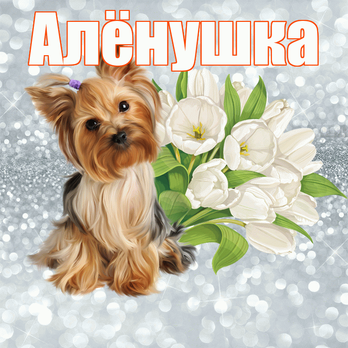 Алёнушка! С добрым утром! Красивая открытка !