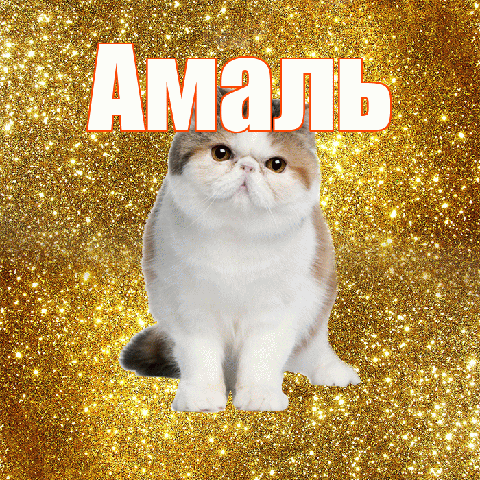 Амаль! С добрым утром! Красивая открытка Амалю!