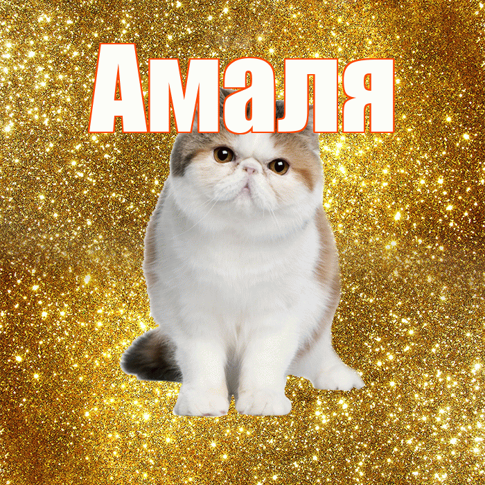 Амаля! С добрым утром! Красивая открытка !