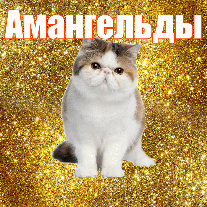 Амангельды! С добрым утром! Красивая открытка Амангельды!