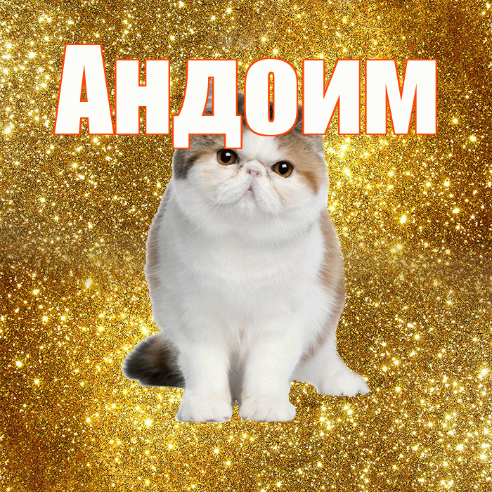 Андоим! С добрым утром! Красивая открытка Андоившему!