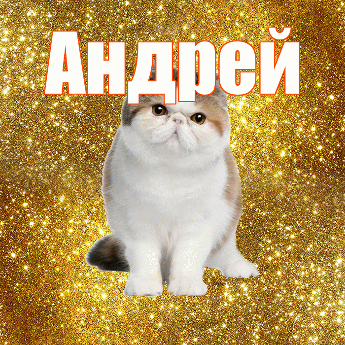 Андрей! С добрым утром! Красивая открытка Андрею!